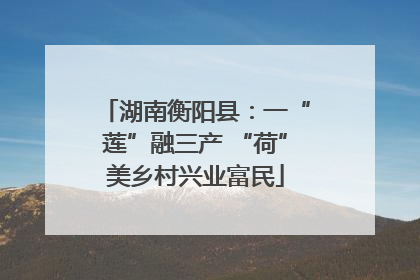 湖南衡阳县：一“莲”融三产 “荷”美乡村兴业富民