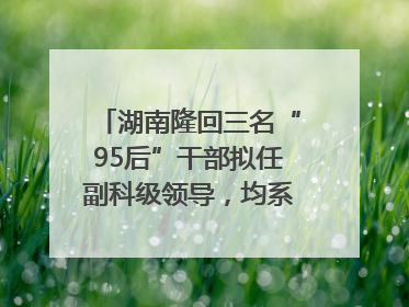 湖南隆回三名“95后”干部拟任副科级领导，均系硕士选调生