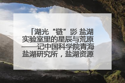 湖光“链”影 盐湖实验室里的星辰与荒原——记中国科学院青海盐湖研究所，盐湖资源化学实验室党总支书记、副主任刘忠
