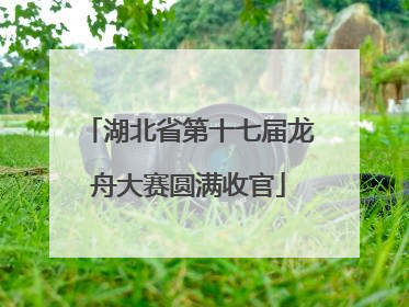 湖北省第十七届龙舟大赛圆满收官