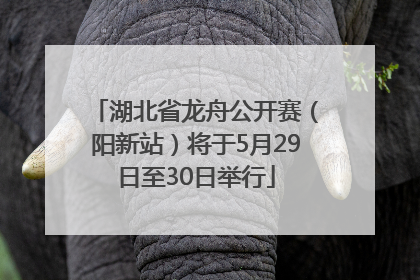 湖北省龙舟公开赛（阳新站）将于5月29日至30日举行