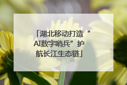湖北移动打造“AI数字哨兵”护航长江生态链