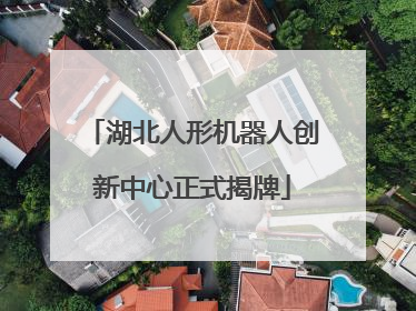 湖北人形机器人创新中心正式揭牌