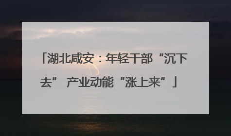 湖北咸安：年轻干部“沉下去” 产业动能“涨上来”