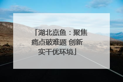 湖北嘉鱼：聚焦痛点破难题 创新实干优环境