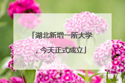 湖北新增一所大学，今天正式成立
