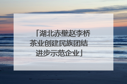 湖北赤壁赵李桥茶业创建民族团结进步示范企业