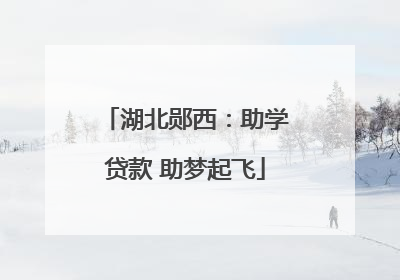 湖北郧西：助学贷款 助梦起飞