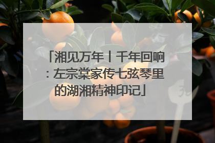 湘见万年丨千年回响：左宗棠家传七弦琴里的湖湘精神印记