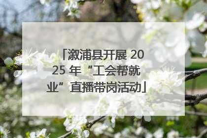 溆浦县开展 2025 年“工会帮就业”直播带岗活动