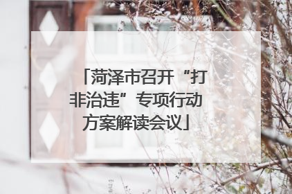菏泽市召开“打非治违”专项行动方案解读会议