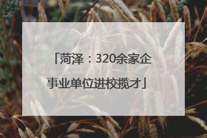 菏泽：320余家企事业单位进校揽才
