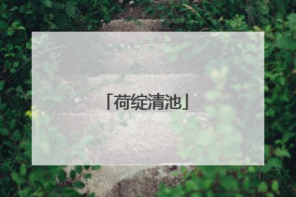 荷绽清池