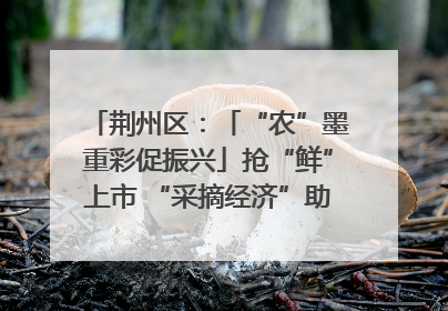 荆州区：「“农”墨重彩促振兴」抢“鲜”上市 “采摘经济”助农“甜蜜增收”