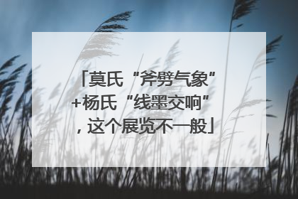 莫氏“斧劈气象”+杨氏“线墨交响”，这个展览不一般