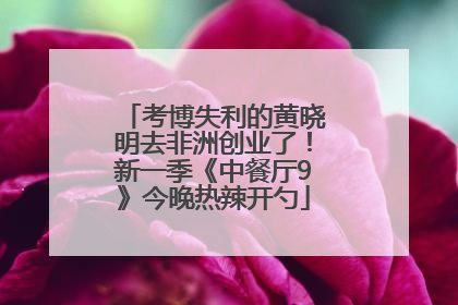 考博失利的黄晓明去非洲创业了！新一季《中餐厅9》今晚热辣开勺
