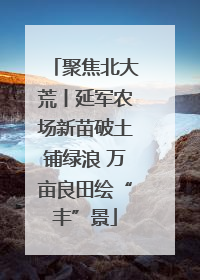 聚焦北大荒丨延军农场新苗破土铺绿浪 万亩良田绘“丰”景
