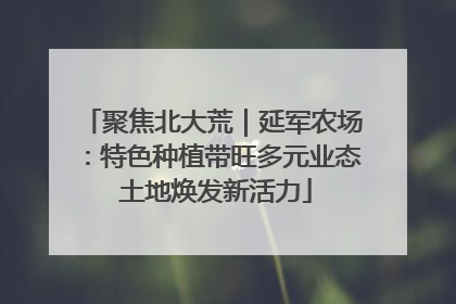 聚焦北大荒｜延军农场：特色种植带旺多元业态 土地焕发新活力