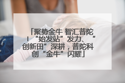 聚势金牛 智汇普陀〡“始发站”发力、“创新田”深耕，普陀科创“金牛”闪耀