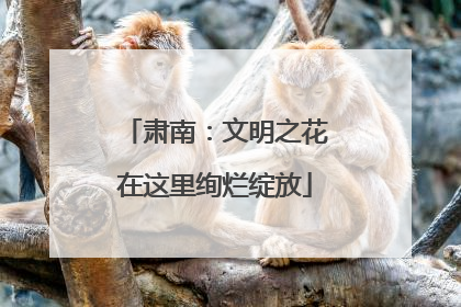 肃南：文明之花在这里绚烂绽放