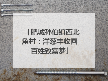 肥城孙伯镇西北角村：洋葱丰收圆百姓致富梦