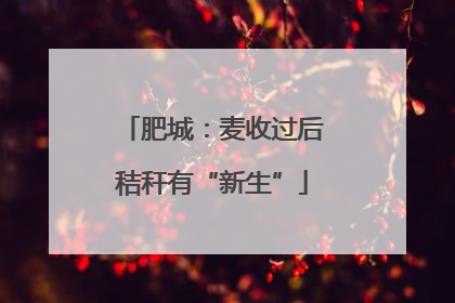 肥城：麦收过后秸秆有“新生”