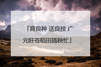育良种 送良技 广元旺苍稻田插秧忙