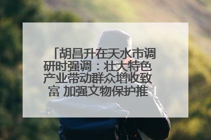 胡昌升在天水市调研时强调：壮大特色产业带动群众增收致富 加强文物保护推动文化创新发展