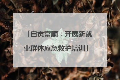 自贡富顺：开展新就业群体应急救护培训
