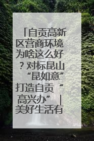 自贡高新区营商环境为啥这么好？对标昆山“昆如意”打造自贡“高兴办”｜美好生活有“盐”味