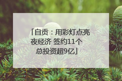 自贡：用彩灯点亮夜经济 签约11个总投资超9亿