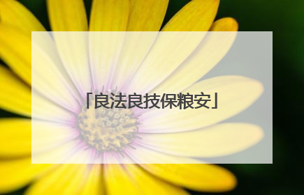 良法良技保粮安