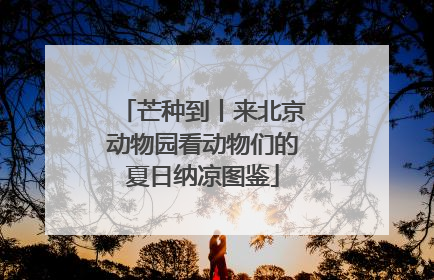 芒种到丨来北京动物园看动物们的夏日纳凉图鉴