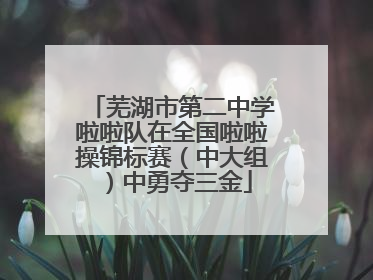 芜湖市第二中学啦啦队在全国啦啦操锦标赛（中大组）中勇夺三金