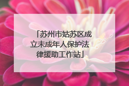 苏州市姑苏区成立未成年人保护法律援助工作站