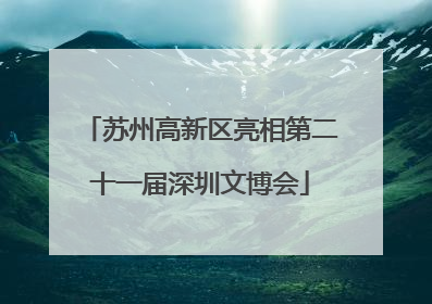 苏州高新区亮相第二十一届深圳文博会