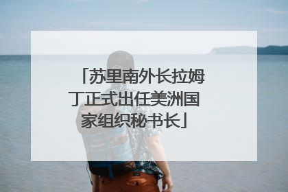 苏里南外长拉姆丁正式出任美洲国家组织秘书长