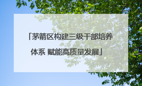 茅箭区构建三级干部培养体系 赋能高质量发展