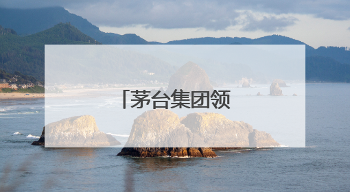 茅台集团领导层调整