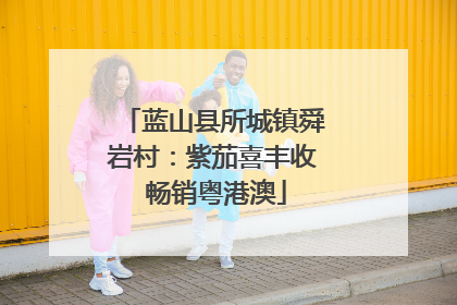 蓝山县所城镇舜岩村：紫茄喜丰收 畅销粤港澳