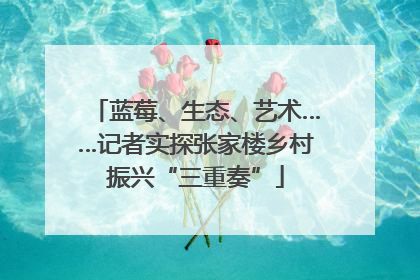 蓝莓、生态、艺术……记者实探张家楼乡村振兴“三重奏”