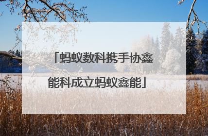 蚂蚁数科携手协鑫能科成立蚂蚁鑫能