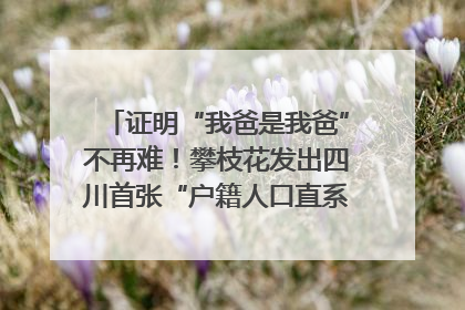 证明“我爸是我爸”不再难！攀枝花发出四川首张“户籍人口直系亲属关系谱”