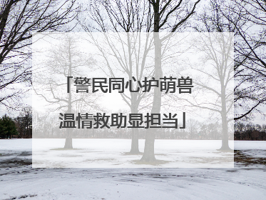 警民同心护萌兽 温情救助显担当