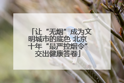 让“无烟”成为文明城市的底色 北京十年“最严控烟令”交出健康答卷