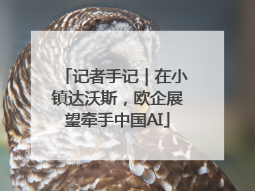 记者手记｜在小镇达沃斯，欧企展望牵手中国AI