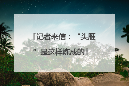 记者来信：“头雁”是这样炼成的
