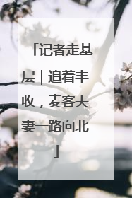 记者走基层｜追着丰收，麦客夫妻一路向北