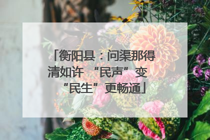 衡阳县：问渠那得清如许 “民声”变“民生”更畅通