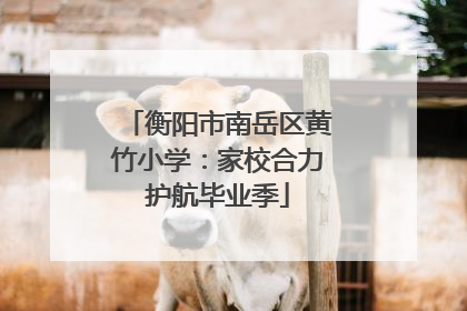 衡阳市南岳区黄竹小学：家校合力护航毕业季